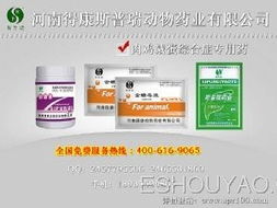 深耕禽藥市場(chǎng)，把握代理機(jī)遇 從鴨藥到品牌的全方位指南